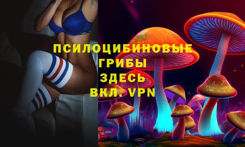 Псилоцибиновые грибы Psilocybe  hydra маркетплейс  Лесозаводск  даркнет сайт 